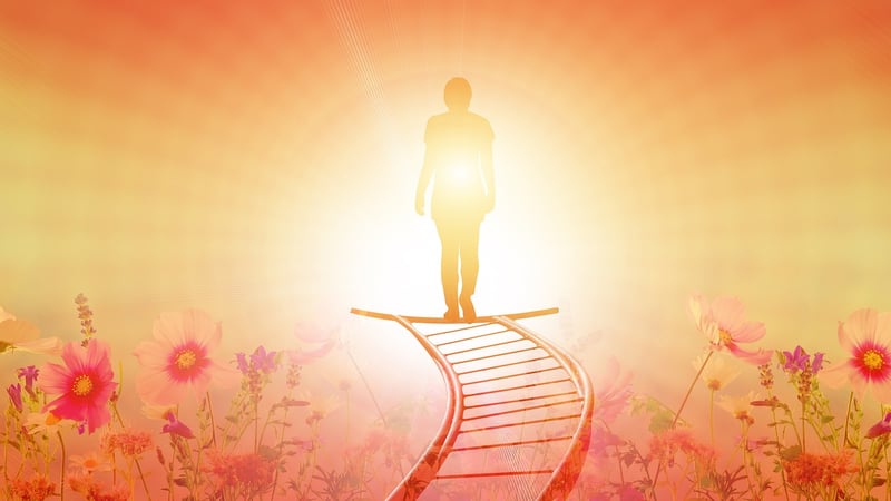 Career Transitions